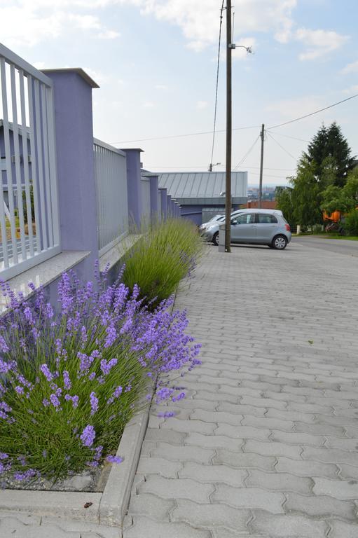 Pansion Antonio Acomodação com café da manhã Slavonski Brod Exterior foto